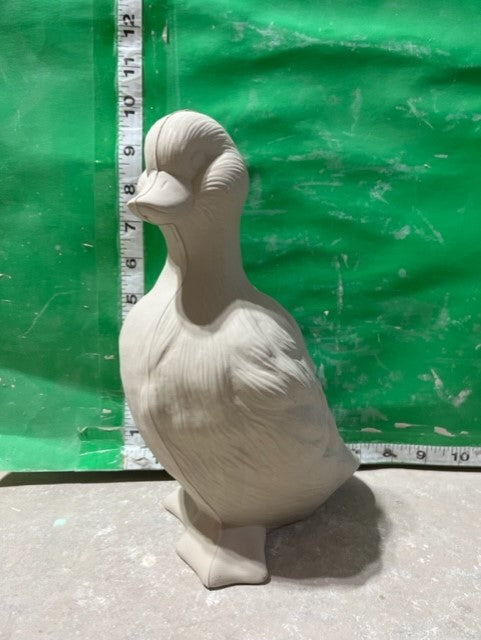 D 434 - DUCK