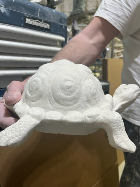 TURTLE WITH CIRCLE SHELL